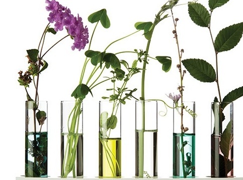 Private Label Skincare Branding
